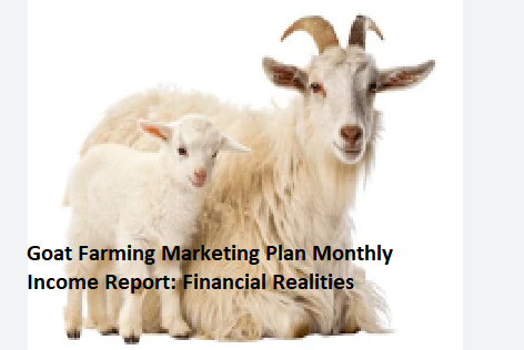 Goat Farming Marketing Plan Monthly Income Report: Financial Realities