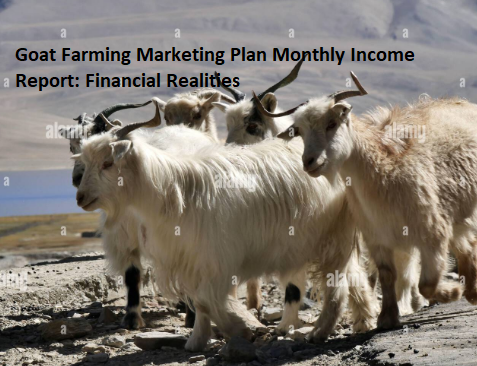 Goat Farming Marketing Plan Monthly Income Report: Financial Realities