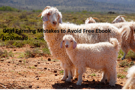 Goat Farming Mistakes to Avoid Free Ebook Download