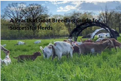 A Practical Goat Breeding Guide for Successful Herds A Practical Goat Breeding Guide for Successful Herds