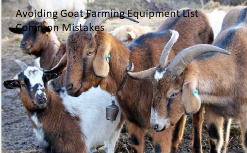 Avoiding Goat Farming Equipment List Common Mistakes Avoiding Goat Farming Equipment List Common Mistakes