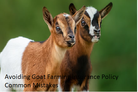 Avoiding Goat Farming Insurance Policy Common Mistakes