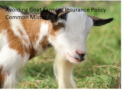 Avoiding Goat Farming Insurance Policy Common Mistakes