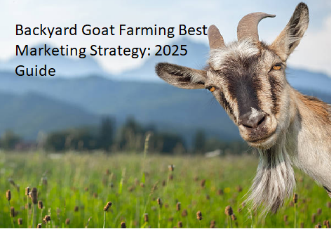 Backyard Goat Farming Best Marketing Strategy: 2025 Guide Backyard Goat Farming Best Marketing Strategy: 2025 Guide