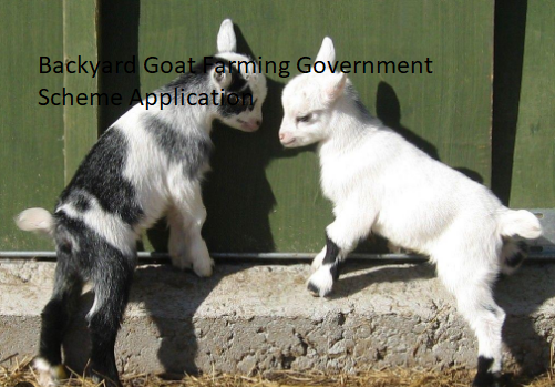 Backyard Goat Farming Government Scheme Application Backyard Goat Farming Government Scheme Application