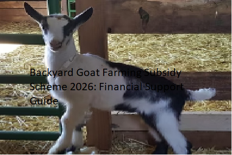 Backyard Goat Farming Subsidy Scheme 2026: Financial Support Guide Backyard Goat Farming Subsidy Scheme 2026: Financial Support Guide