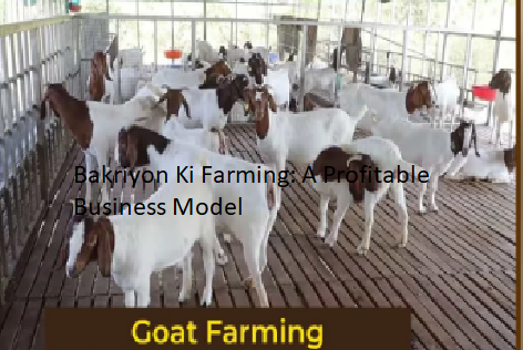 Bakriyon Ki Farming: A Profitable Business Model Bakriyon Ki Farming: A Profitable Business Model