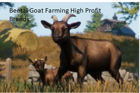 Beetal Goat Farming High Profit Breeds Beetal Goat Farming High Profit Breeds