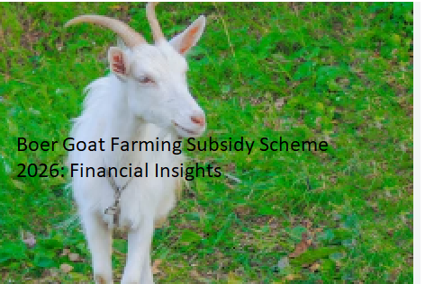 Boer Goat Farming Subsidy Scheme 2026: Financial Insights Boer Goat Farming Subsidy Scheme 2026: Financial Insights