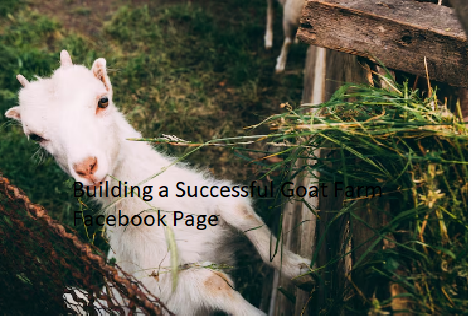 Building a Successful Goat Farm Facebook Page Building a Successful Goat Farm Facebook Page