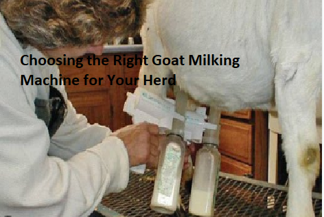 Choosing the Right Goat Milking Machine for Your Herd Choosing the Right Goat Milking Machine for Your Herd