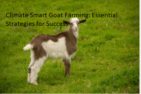 Climate Smart Goat Farming: Essential Strategies for Success Climate Smart Goat Farming: Essential Strategies for Success