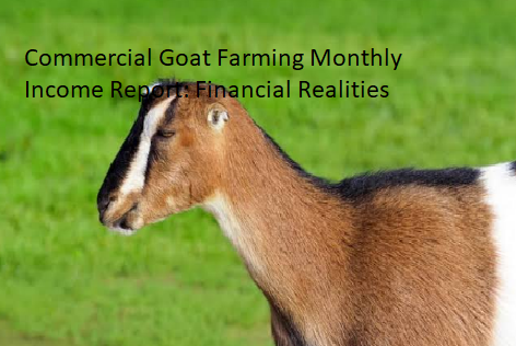 Commercial Goat Farming Monthly Income Report: Financial Realities Commercial Goat Farming Monthly Income Report: Financial Realities