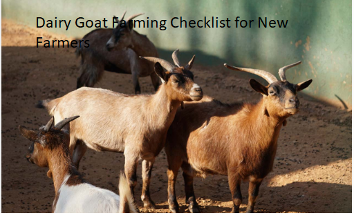 Dairy Goat Farming Checklist for New Farmers Dairy Goat Farming Checklist for New Farmers