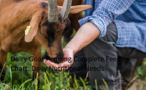Dairy Goat Farming Complete Feed Chart: Daily Nutritional Needs