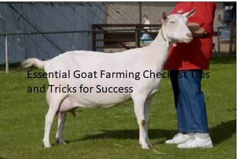 Essential Goat Farming Checklist Tips and Tricks for Success Essential Goat Farming Checklist Tips and Tricks for Success