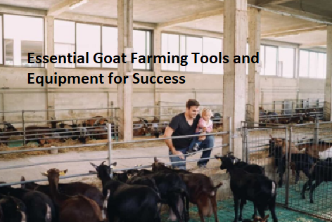 Essential Goat Farming Tools and Equipment for Success Essential Goat Farming Tools and Equipment for Success