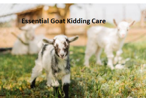 Essential Goat Kidding Care Essential Goat Kidding Care