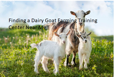 Finding a Dairy Goat Farming Training Center Near Me Finding a Dairy Goat Farming Training Center Near Me