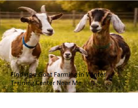 Finding a Goat Farming in Winter Training Center Near Me Finding a Goat Farming in Winter Training Center Near Me