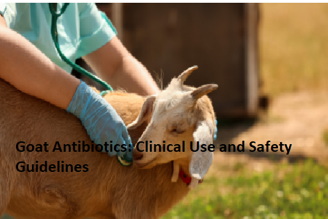 Goat Antibiotics: Clinical Use and Safety Guidelines Goat Antibiotics: Clinical Use and Safety Guidelines