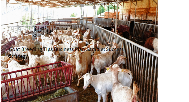 Goat Breeding Tips Business Plan Sample: Success Strategy