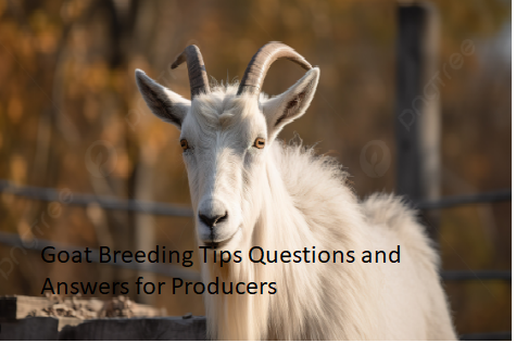 Goat Breeding Tips Questions and Answers for Producers Goat Breeding Tips Questions and Answers for Producers