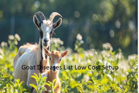 Goat Diseases List Low Cost Setup Goat Diseases List Low Cost Setup