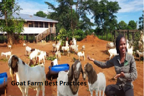 Goat Farm Best Practices Goat Farm Best Practices