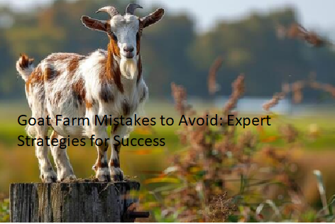 Goat Farm Mistakes to Avoid: Expert Strategies for Success Goat Farm Mistakes to Avoid: Expert Strategies for Success