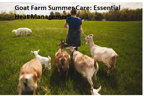 Goat Farm Summer Care: Essential Heat Management Goat Farm Summer Care: Essential Heat Management