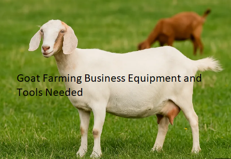 Goat Farming Business Equipment and Tools Needed Goat Farming Business Equipment and Tools Needed
