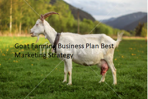 Goat Farming Business Plan Best Marketing Strategy Goat Farming Business Plan Best Marketing Strategy