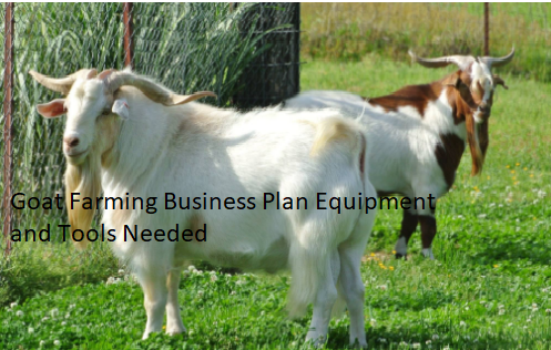 Goat Farming Business Plan Equipment and Tools Needed Goat Farming Business Plan Equipment and Tools Needed
