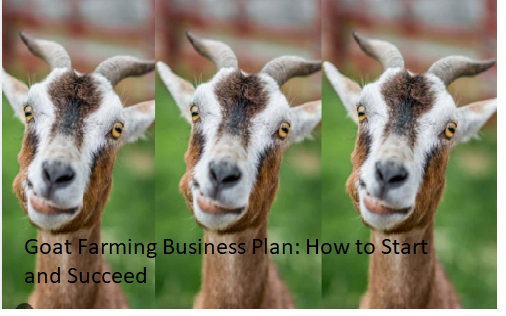 Goat Farming Business Plan: How to Start and Succeed Goat Farming Business Plan: How to Start and Succeed