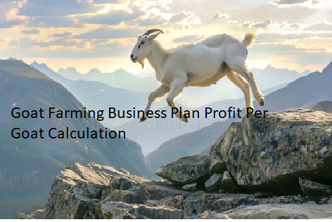 Goat Farming Business Plan Profit Per Goat Calculation Goat Farming Business Plan Profit Per Goat Calculation