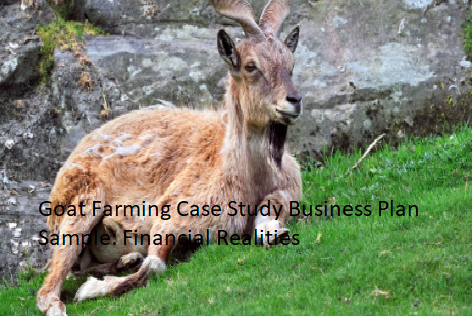 Goat Farming Case Study Business Plan Sample: Financial Realities Goat Farming Case Study Business Plan Sample: Financial Realities