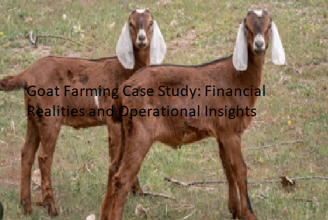 Goat Farming Case Study: Financial Realities and Operational Insights Goat Farming Case Study: Financial Realities and Operational Insights