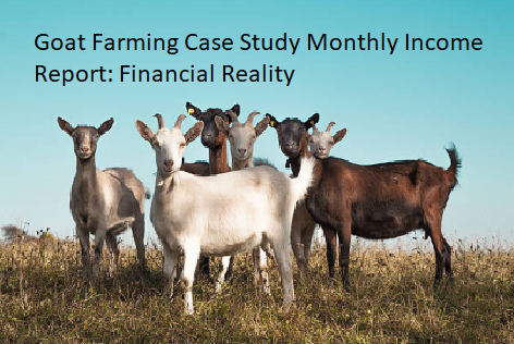 Goat Farming Case Study Monthly Income Report: Financial Reality Goat Farming Case Study Monthly Income Report: Financial Reality
