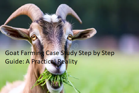 Goat Farming Case Study Step by Step Guide: A Practical Reality Goat Farming Case Study Step by Step Guide: A Practical Reality