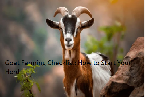 Goat Farming Checklist: How to Start Your Herd Goat Farming Checklist: How to Start Your Herd