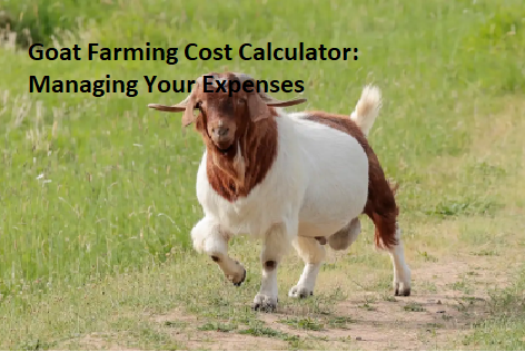 Goat Farming Cost Calculator: Managing Your Expenses Goat Farming Cost Calculator: Managing Your Expenses