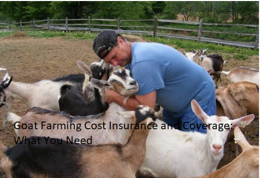 Goat Farming Cost Insurance and Coverage: What You Need Goat Farming Cost Insurance and Coverage: What You Need