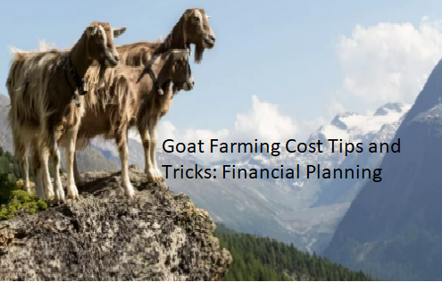 Goat Farming Cost Tips and Tricks: Financial Planning Goat Farming Cost Tips and Tricks: Financial Planning