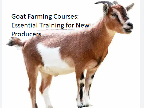 Goat Farming Courses: Essential Training for New Producers Goat Farming Courses: Essential Training for New Producers