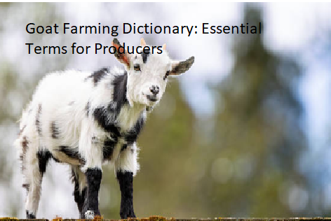 Goat Farming Dictionary: Essential Terms for Producers Goat Farming Dictionary: Essential Terms for Producers