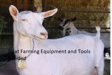 Goat Farming Equipment and Tools Needed Goat Farming Equipment and Tools Needed