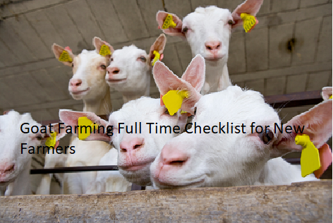 Goat Farming Full Time Checklist for New Farmers Goat Farming Full Time Checklist for New Farmers