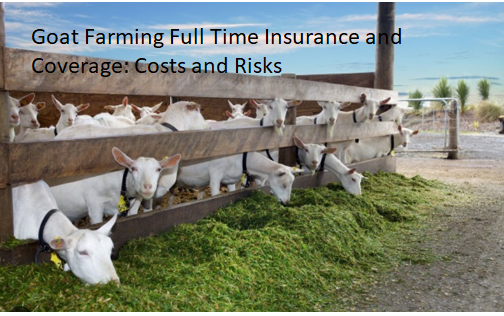 Goat Farming Full Time Insurance and Coverage: Costs and Risks Goat Farming Full Time Insurance and Coverage: Costs and Risks
