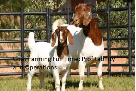 Goat Farming Full Time: Profitability and Operations Goat Farming Full Time: Profitability and Operations